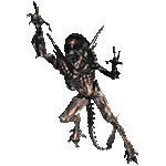 Benutzeravatar
