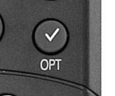 Option.JPG